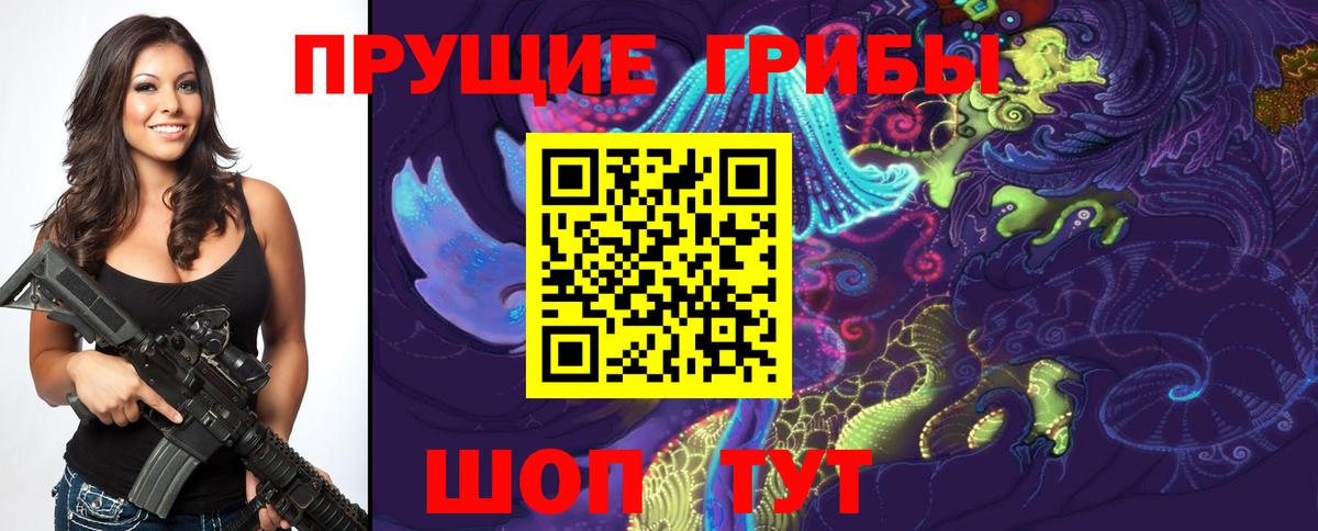 купить закладку  Псилоцибиновые грибы Psilocybine cubensis  Вход с VPN  Псилоцибиновые грибы GOLDEN TEACHER  Нарткала 
